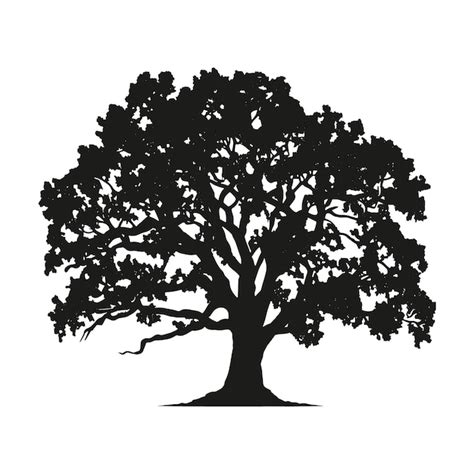 Free Vector | Hand drawn oak tree silhouette