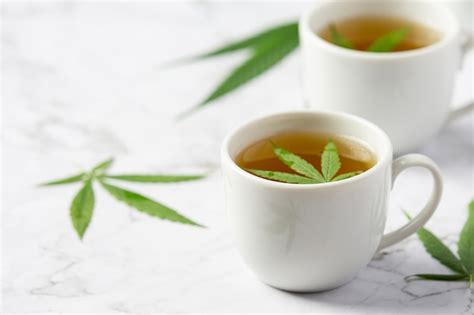 Free Photo | Cup of hemp tea with hemp leaves put on wooden floor