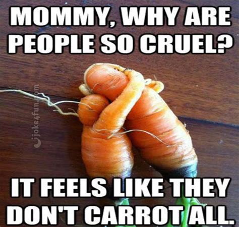 Joke4Fun Memes: Carrot talk