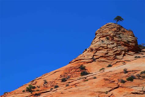 Lithified desert sand dune deposits of the Navajo Sandstone formation, Zion National Park, Utah, USA