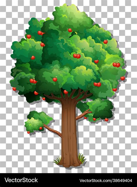 Apple tree on transparent background Royalty Free Vector