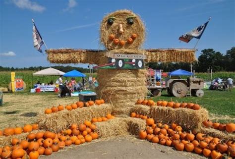 New England Pumpkin Patches with Bonus Fun for Families | Mommy Poppins ...