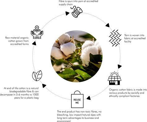 ORGANIC COTTON LIFECYCLE — Direct to Source