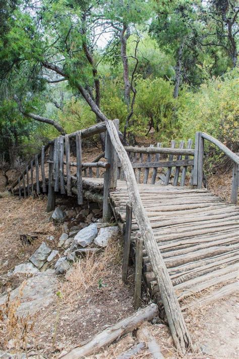 Bridge stock image. Image of wooden, forests, forest - 41448107