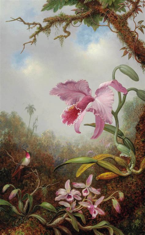 Martin Johnson Heade (1819-1904) , Hummingbird and Two Types of Orchids ...