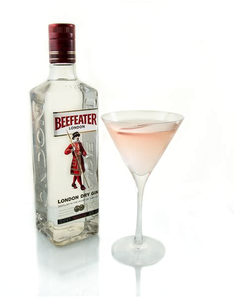 premium cocktail kit | beefeater gin | cocktails