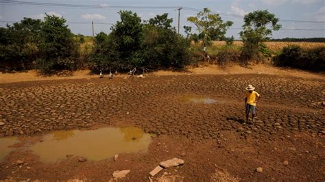 Climate crisis made 2022 drought 'at least 20 times likelier'