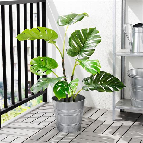 FEJKA artificial potted plant, indoor/outdoor monstera, 7 ½" - IKEA