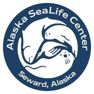 Definitive Guide To Alaska SeaLife Center Facts, List Of Animals ...