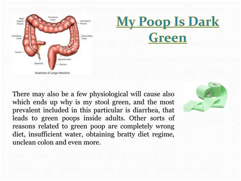 PPT - My Babys Poop Is Green PowerPoint Presentation, free download ...