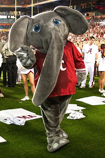 Big Al #Alabama #RollTide #mascot | Tailgating | Pinterest