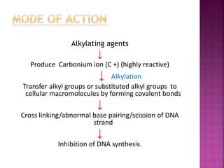 Alkylating agents | PPT