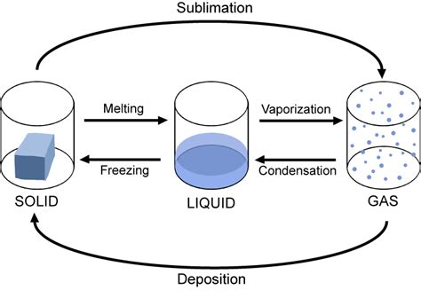 Phases of Matter and Heat Diagram | Quizlet