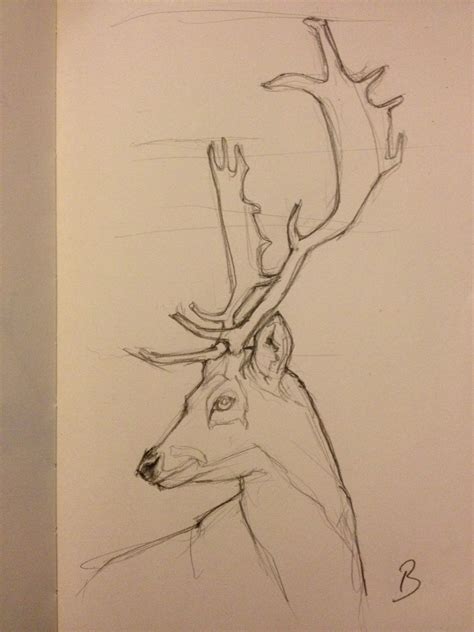 Reindeer Sketch Pencil Art Drawings, Art Drawings Sketches Simple, Doodle Drawings, Deer Sketch ...