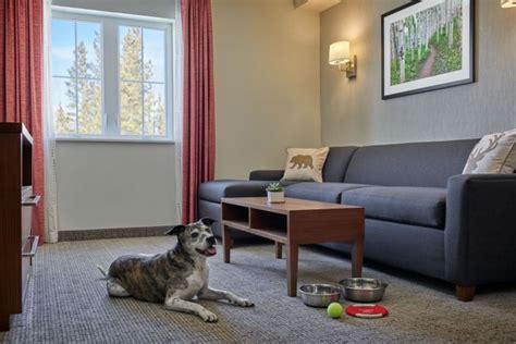 Hotel Suites and Hotel Rooms in Breckenridge, CO | Residence Inn ...