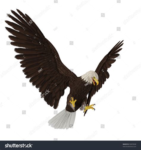 Bald Eagle Hunting Stock Photo 90878948 : Shutterstock