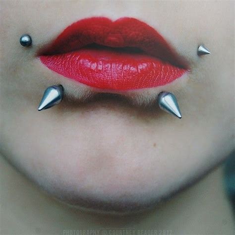 Snake bite piercings liked on Polyvore featuring jewelry, piercings, tattoo jewelry, lip jewelry ...