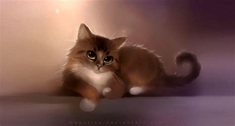 Cat Laptop Wallpapers - Top Free Cat Laptop Backgrounds - WallpaperAccess