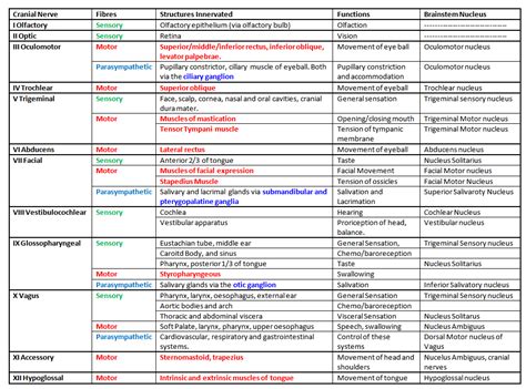 Cranial Nerves Examination | Faculty of Medicine