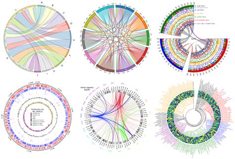 GitHub - moshi4/pyCirclize: Circular visualization in Python (Circos ...