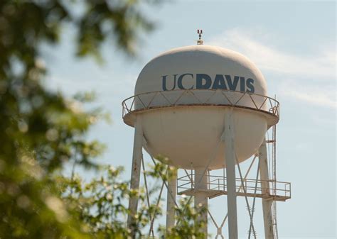 UC Davis Sets Record With $941 Million in Research Funding | UC Davis