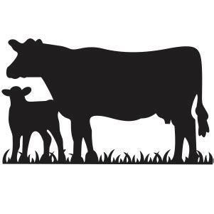 Cow Calf Silhouette