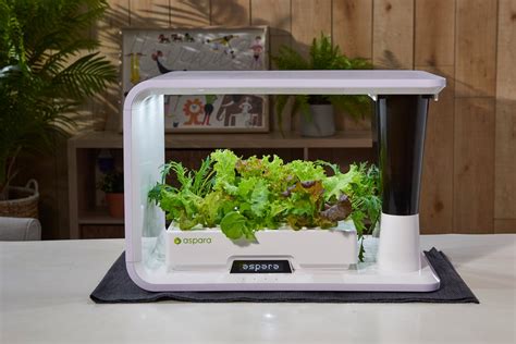 Hydroponic Kits For Home | grainger design