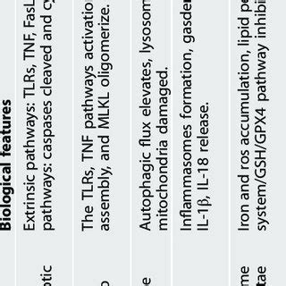 Characteristics and differences between apoptosis, necroptosis ...