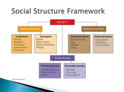 Social Structure in Sociology - Its Elements and Related Concepts