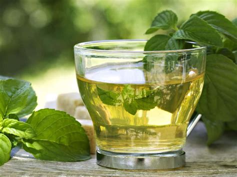 Spearmint Tea: 10 Benefits of Spearmint Tea