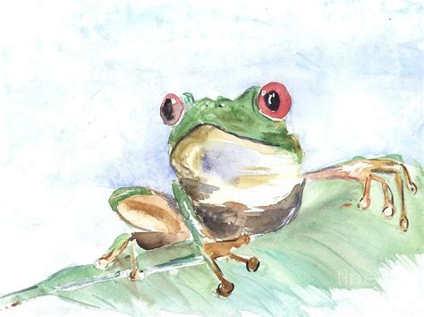 Coqui Frog Drawing at PaintingValley.com | Explore collection of Coqui ...