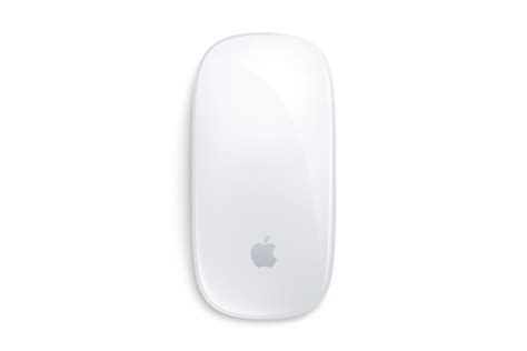 Apple Wireless Mouse – Student Multimedia Design Center