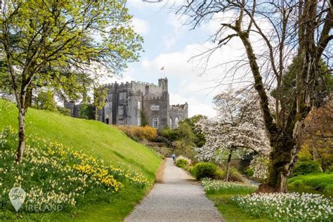 Birr Castle Gardens - a springtime delight • All Around Ireland