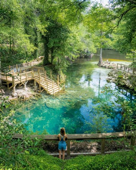 12 Best Natural Springs In North Florida - Florida Trippers