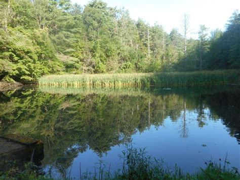 Lauren R. Stevens: Experiencing the diverse ecosystems of a hike in The ...