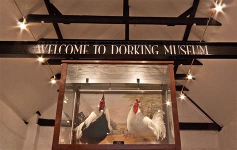 Dorking Museum Opening Hours & Visitor information