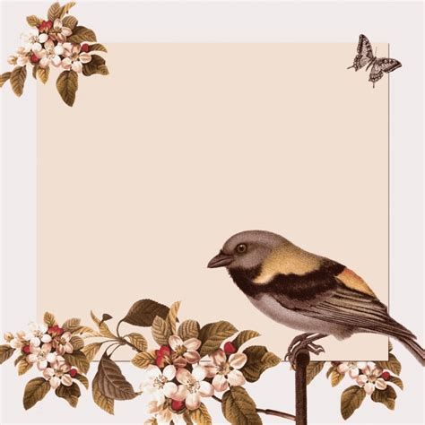 Vintage Bird Floral Background Free Stock Photo - Public Domain Pictures