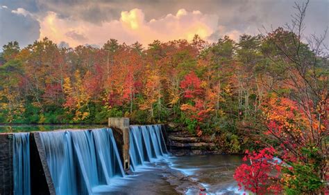 Things to Do in DeSoto State Park: Tips and Info - The Getaway