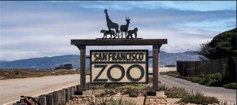 Everything You Need To Know About San Francisco Zoo | TouristSecrets