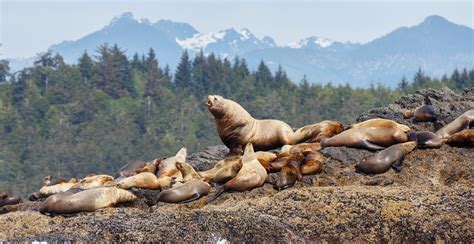 Glacier Bay National Park - Off the Beaten Path