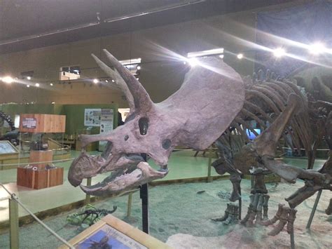 Our Beautiful Blessings!: Wyoming Dinosaur Center!