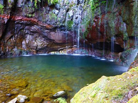 Most popular levada walks of Madeira – WalkMe Levadas Madeira