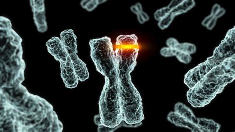 Genetic Disorders