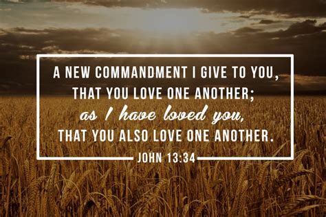 New Commandment: Why Did Jesus Give It? - Life, Hope & Truth