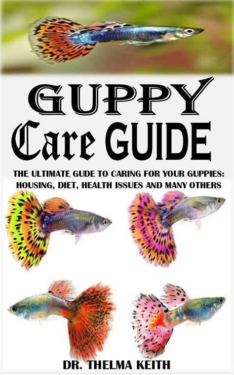 GUPPY CARE GUIDE: The Ultimate Guide To Caring For Your Guppies ...