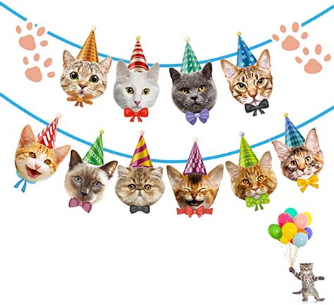 Amazon.com: Funnlot Cat Birthday Banner Not Need DIY Cat Themed ...