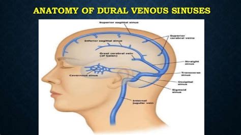 Central Venous Sinus Thrombosis