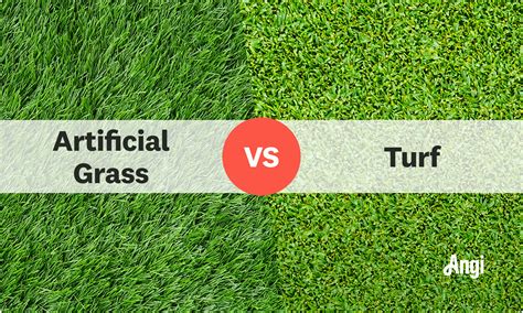 Artificial Grass vs. Turf: Which Is Right for Your Home?