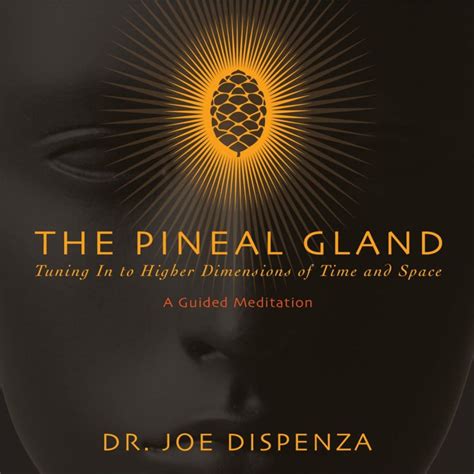 The Pineal Gland: Tuning In To Higher Dimensions of Time and Space by ...