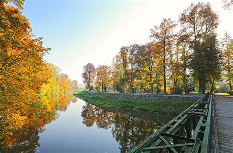 Jihlava river, Czechia | Czechia, Nature photos, Landscape